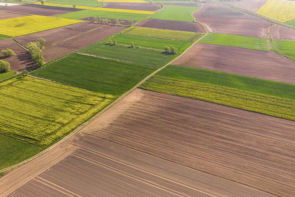 Estudios Edafológicos · Ingenieros Geotécnicos y Geofísicos Horta - Guinardó